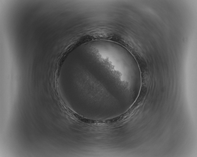 X0000115511297200911131333