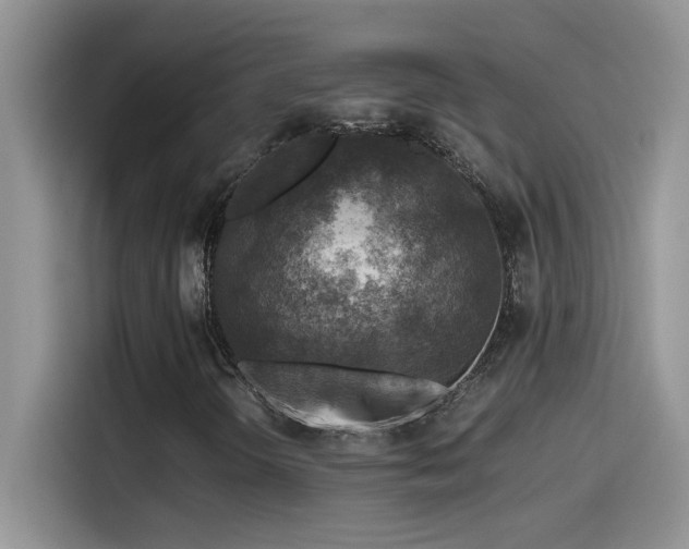 X0000115511298200911131333