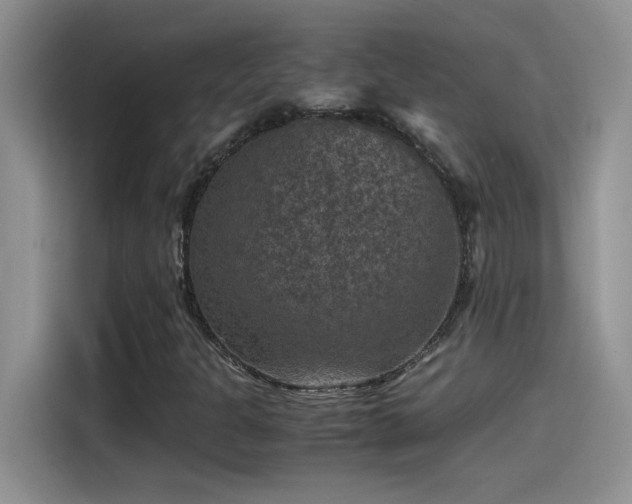 X0000115511301200911131333