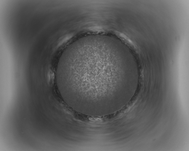 X0000115511302200911131333