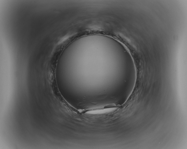 X0000115511303200911131333