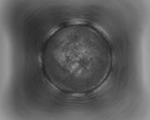 X0000115511305200911131333