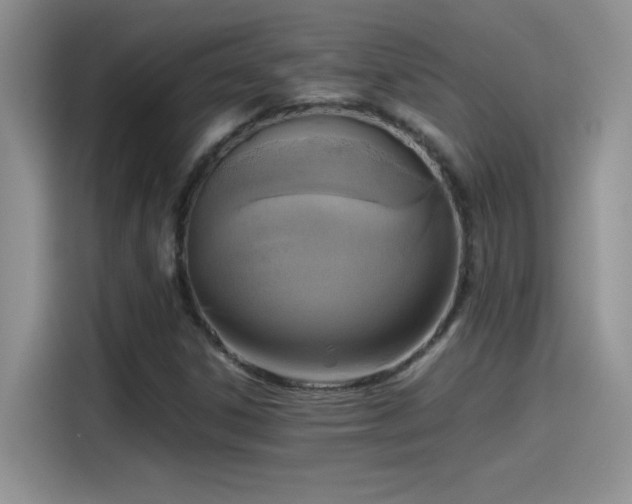 X0000115511306200911131333