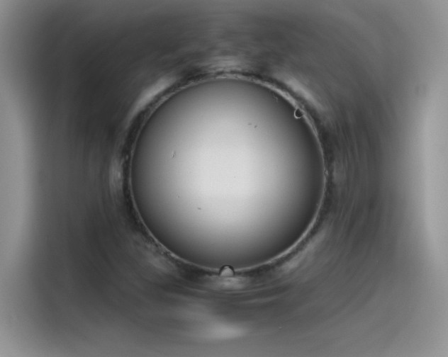 X0000115511309200911131333