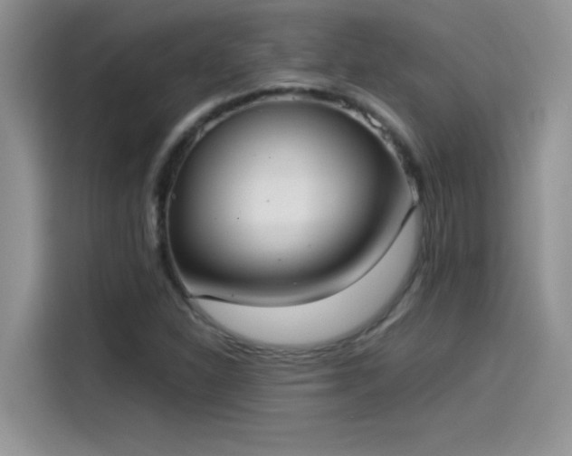 X0000115511310200911131333