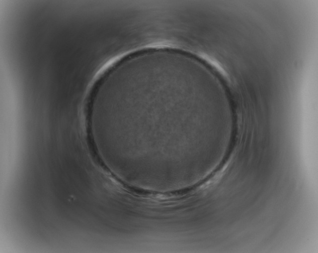 X0000115511311200911131333