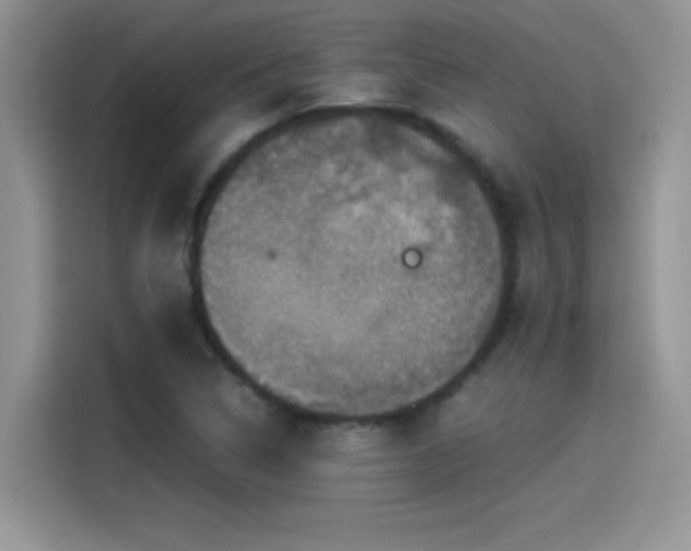 X0000115511314200911131333