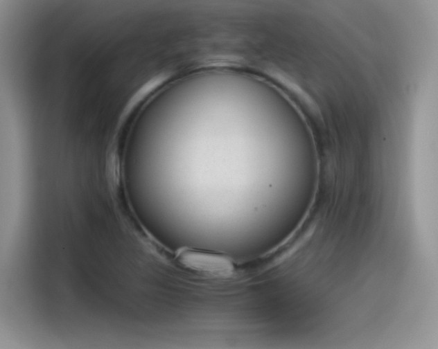 X0000115511317200911131333