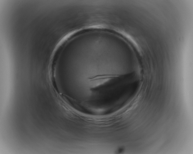 X0000115511319200911131333