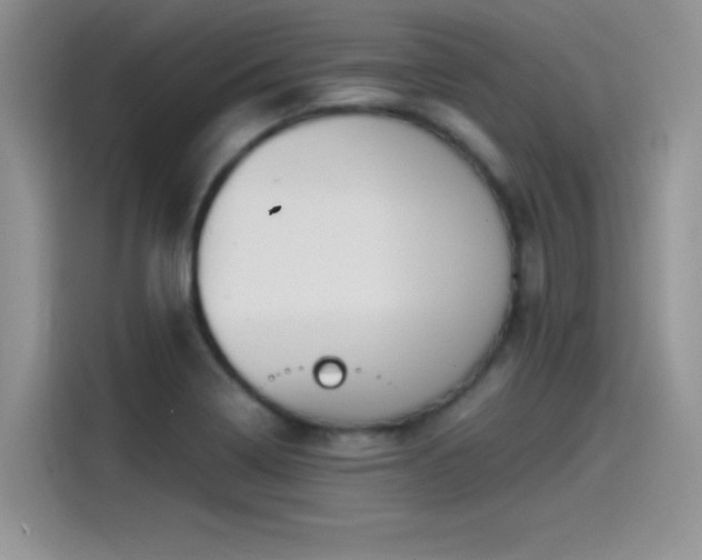 X0000115511322200911131333