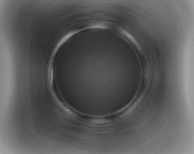 X0000115511323200911131333