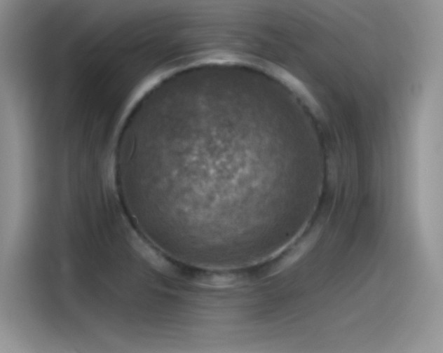 X0000115511326200911131333