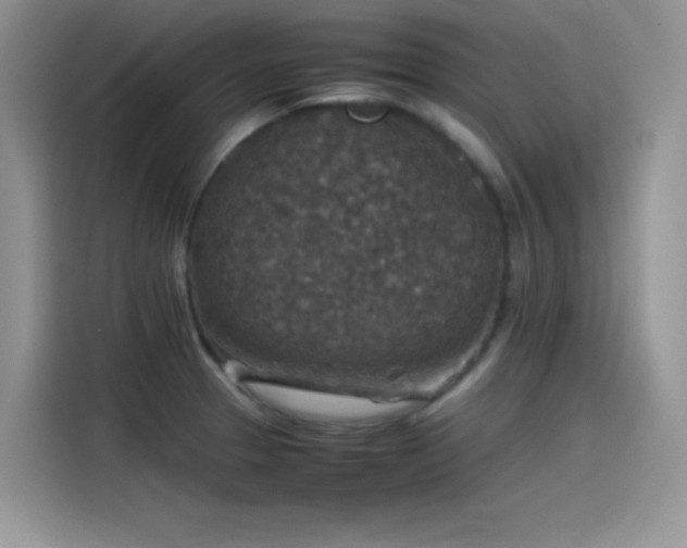 X0000115511329200911131333