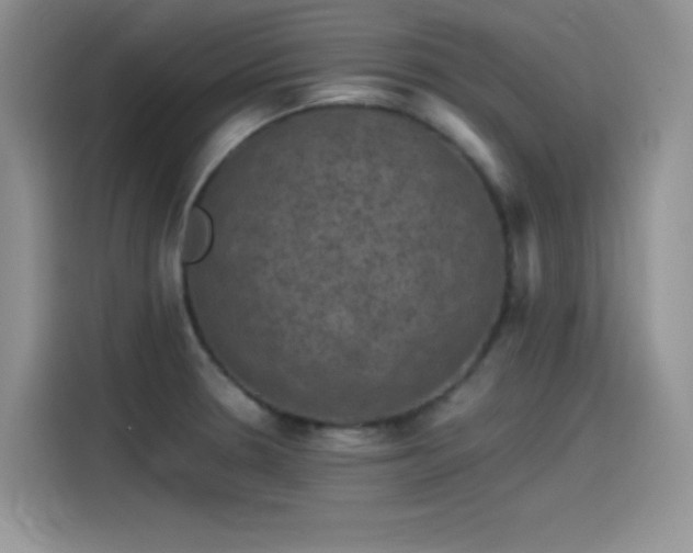 X0000115511330200911131333