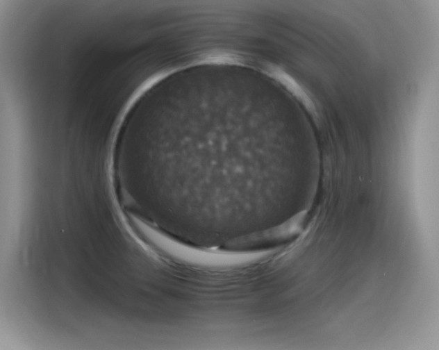 X0000115511331200911131333