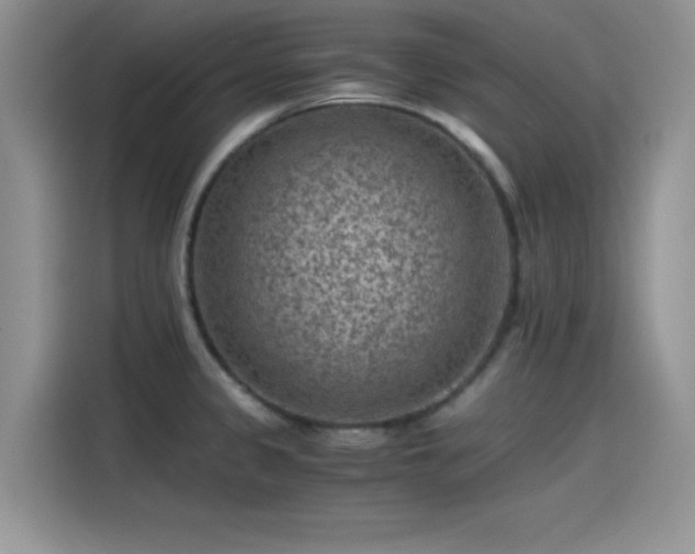 X0000115511333200911131333