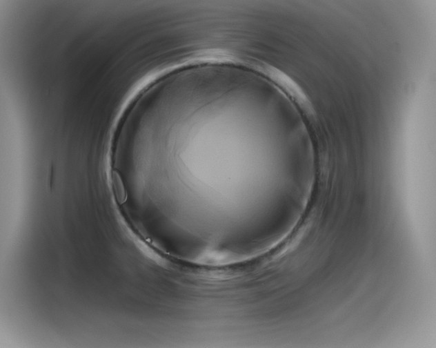 X0000115511334200911131333