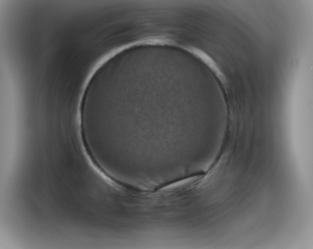 X0000115511335200911131333