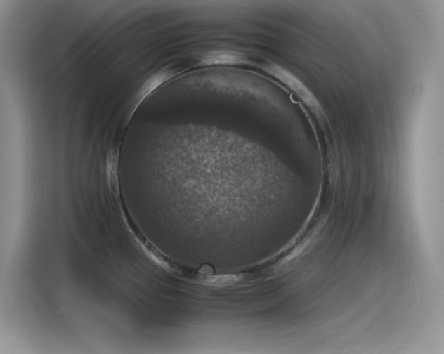 X0000115511337200911131333