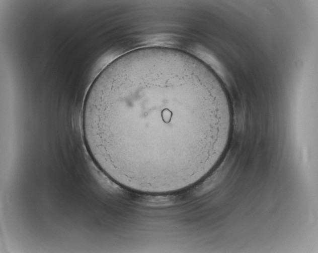 X0000115511338200911131333