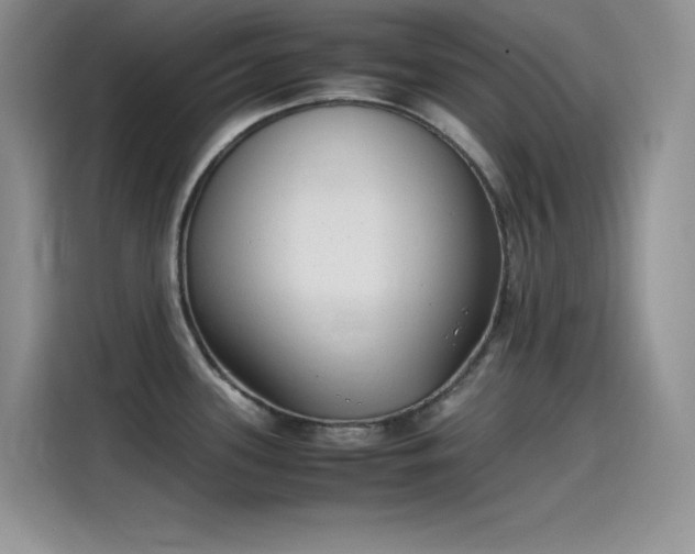 X0000115511339200911131333