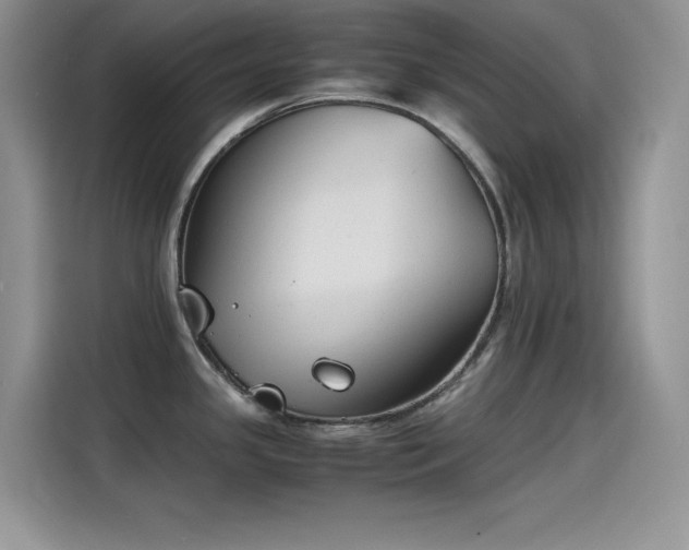 X0000115511341200911131333