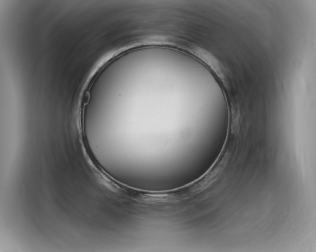 X0000115511342200911131333