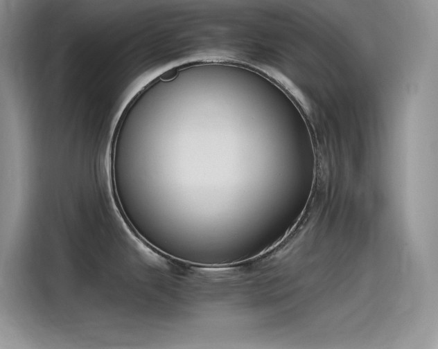 X0000115511343200911131333