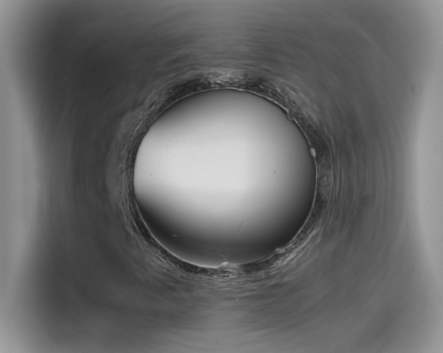 X0000115511345200911131333