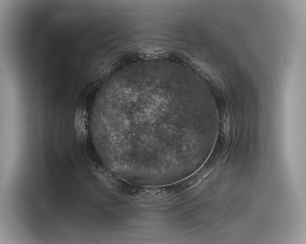 X0000115511346200911131333