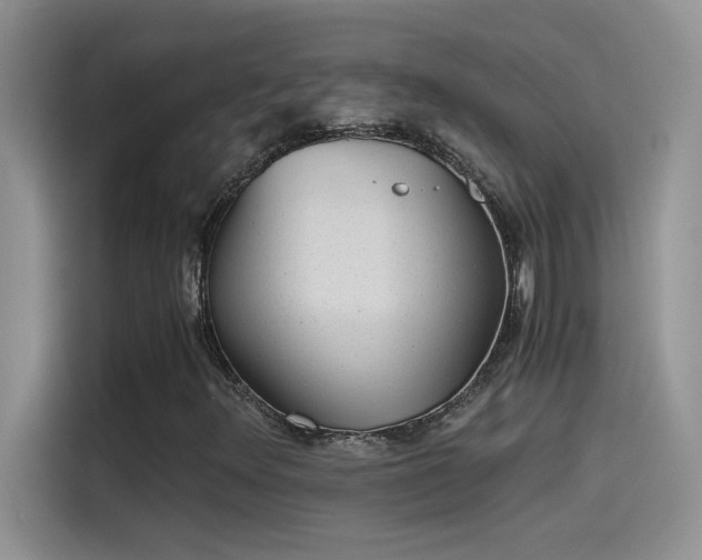 X0000115511348200911131333