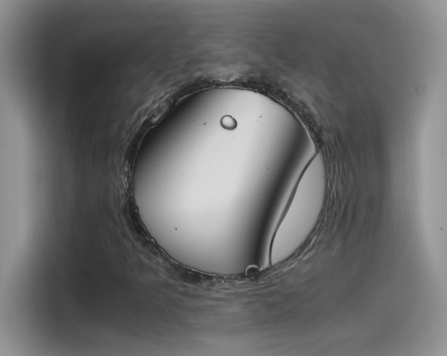 X0000115511349200911131333