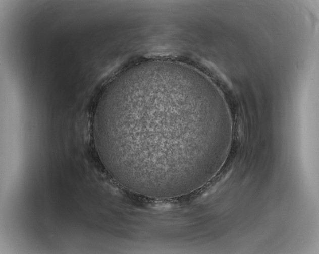 X0000115511350200911131333