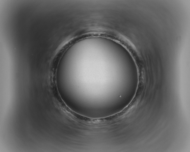 X0000115511352200911131333