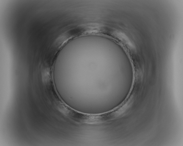 X0000115511353200911131333