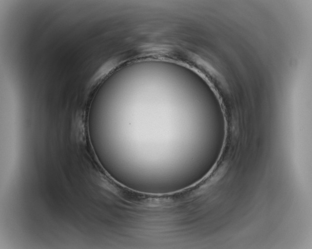 X0000115511354200911131333