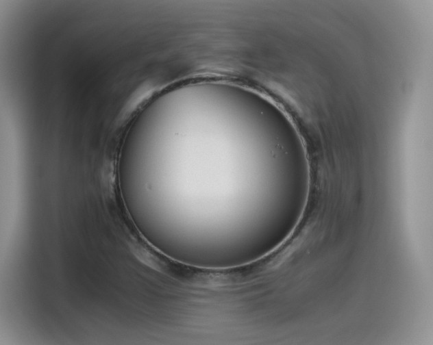 X0000115511355200911131333