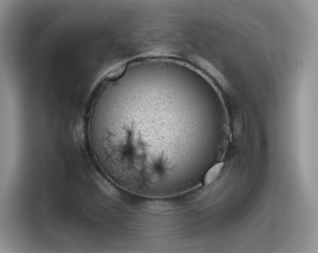 X0000115511356200911131333