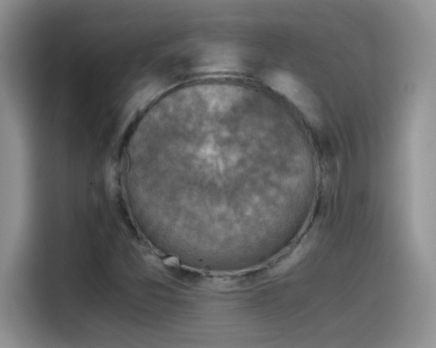 X0000115511357200911131332