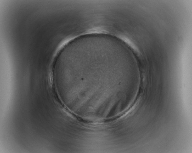 X0000115511358200911131332