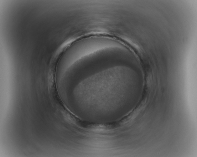 X0000115511359200911131332