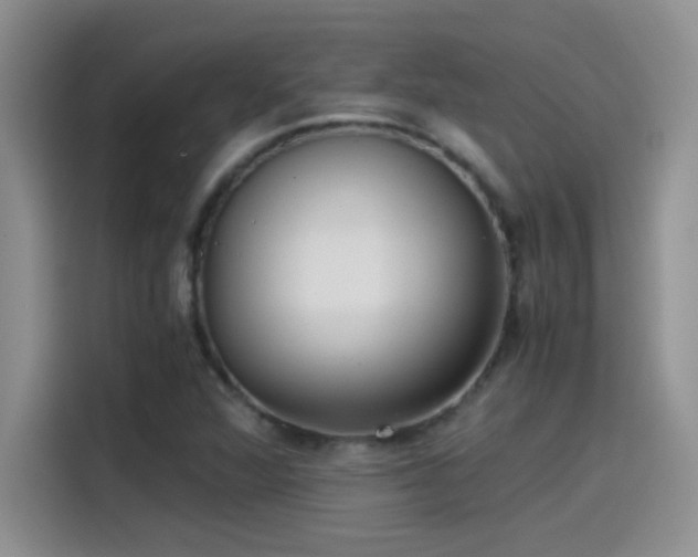 X0000115511360200911131332