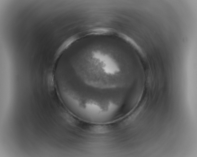 X0000115511362200911131332