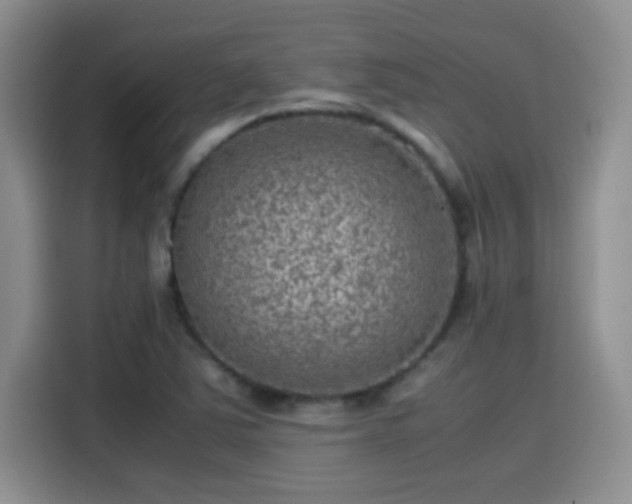 X0000115511363200911131332