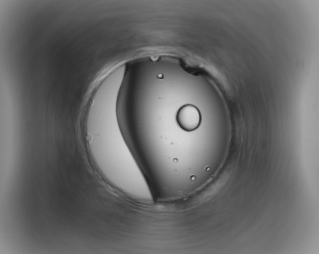 X0000115511365200911131332