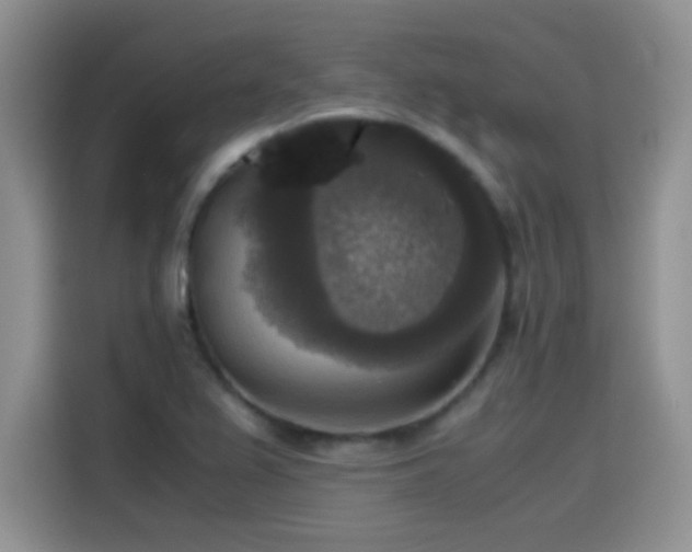 X0000115511367200911131332