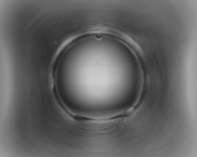 X0000115511368200911131332