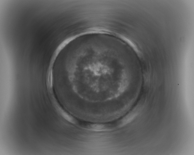 X0000115511371200911131332