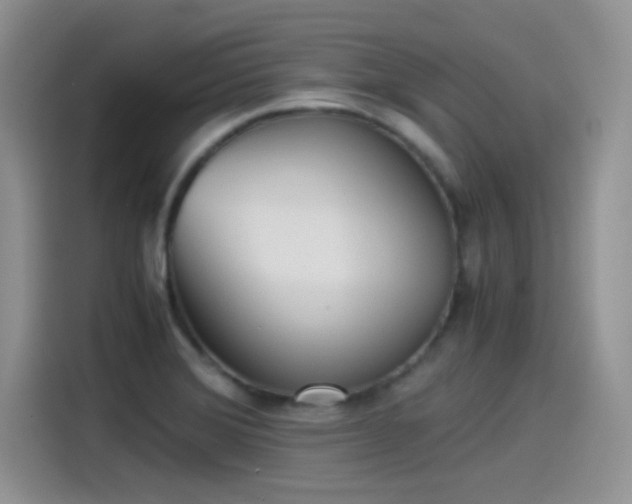 X0000115511372200911131332