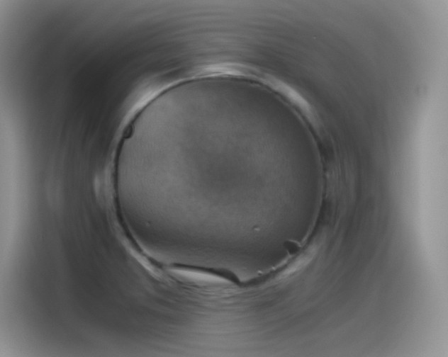 X0000115511373200911131332